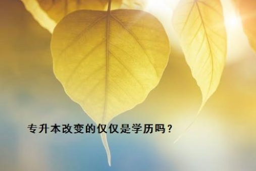 a516e3c934ca74507f8df5aa1f8cb43e.png