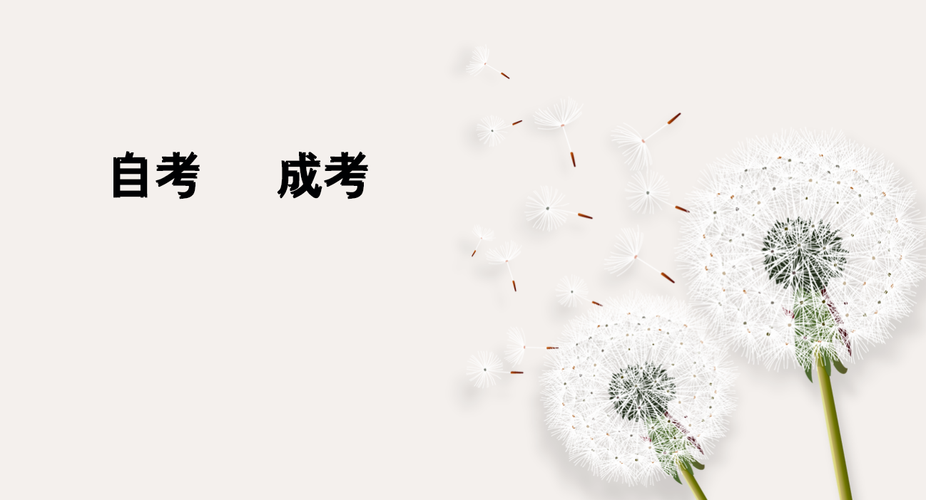 f55b5e99e7e227a1712df969fb11011f.png